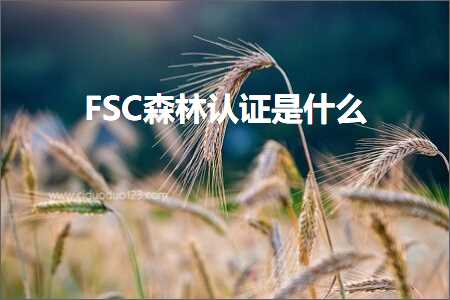 璺ㄥ鐢靛晢鐭ヨ瘑:FSC妫灄璁よ瘉鏄粈涔? width=