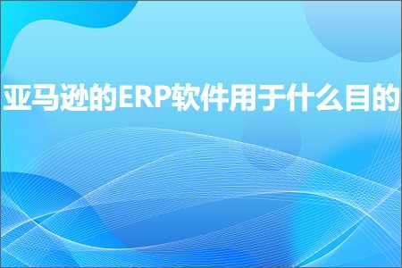 跨境电商知识:亚马逊的ERP软件用于什么目的