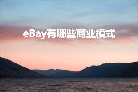 跨境电商知识:eBay有哪些商业模式